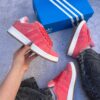 Rosa coral